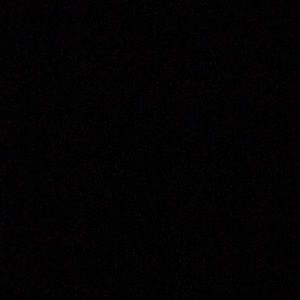 Meet your Posher, Rosalinda